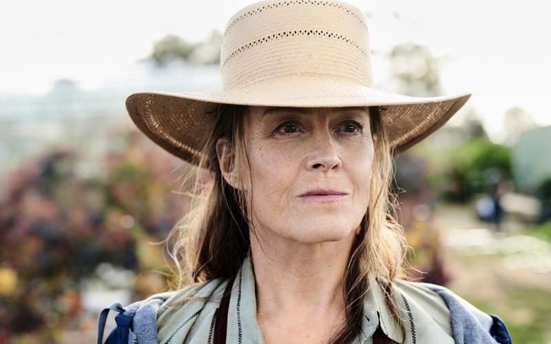 Тизер-трейлер сериала «Потерянные цветы Элис Харт»: Сигурни Уивер защищает семейные тайны