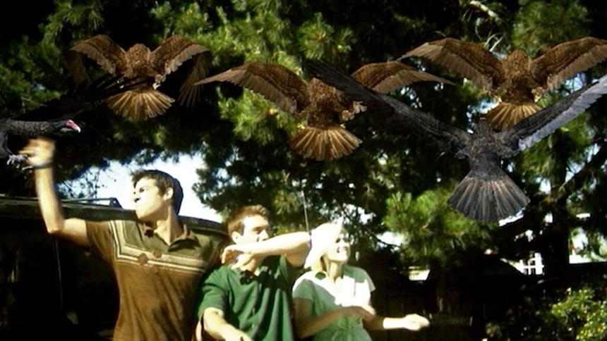 Кадр из фильма «Птицекалипсис: Шок и трепет»