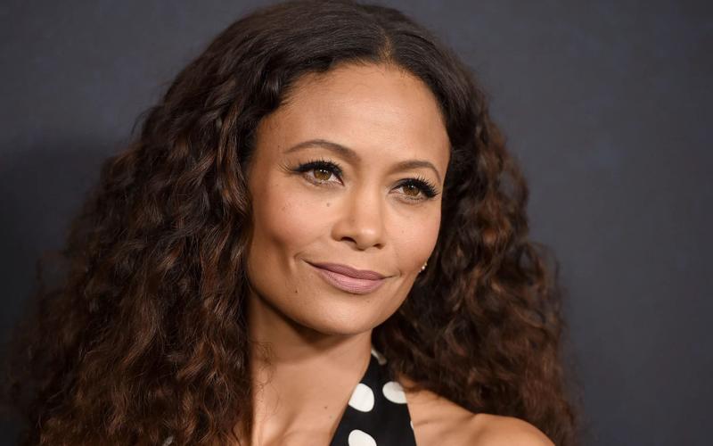 Стивен Содерберг опроверг слух, что Тандиве Ньютон уволили из «Супер Майка 3» после ссоры с Татумом