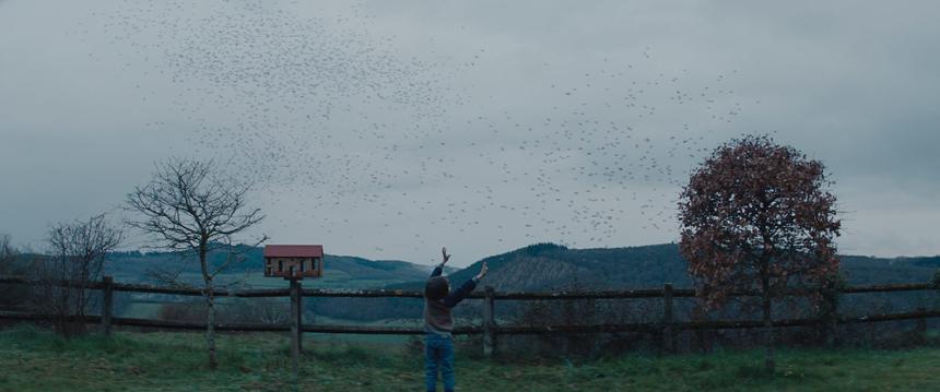 Фильм Арно Малерба «Бойся темноты»