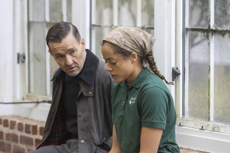 Трейлер «Тихого садовника» — новый фильм Пола Шредера