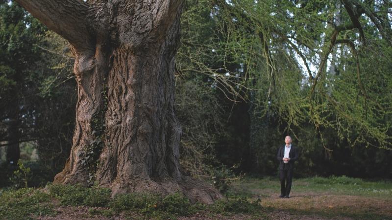 Русский трейлер фильма «Молчаливый друг» с Леа Сейду и Тони Люн Чу-Ваем