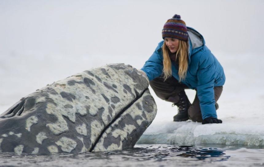 Топ фильмов о волонтерах