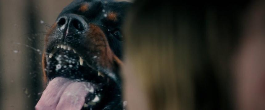 Кадр из фильма «Не дыши»