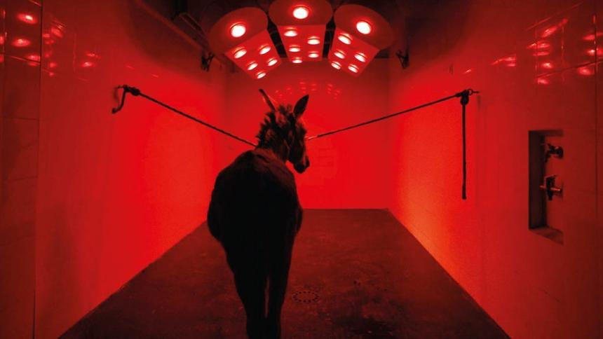 «Иа», реж. Ежи Сколимовский