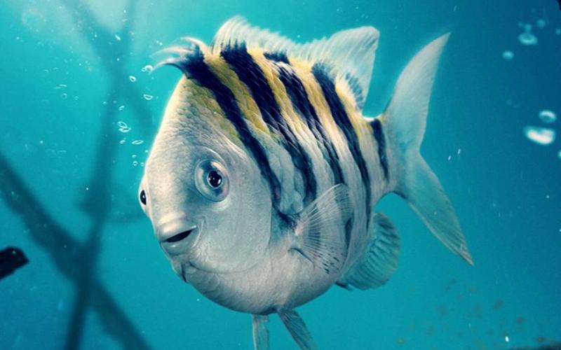 Рыба с ногами: В сети представляют Флаундера из ремейка «Русалочки» от разных режиссеров