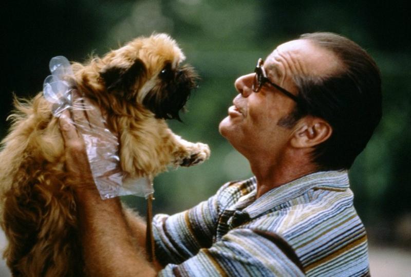 Okko подберет фильм по настроению