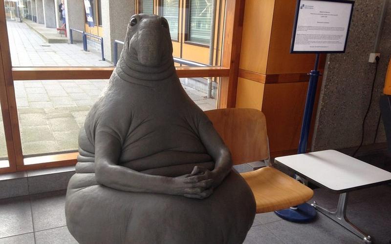 Персонаж-мем Ждун станет героем одноименной семейной комедии