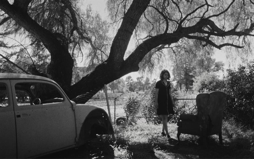 Итоги фестиваля в Карловых Варах: Телефонные мошенники и одинокие иммигранты