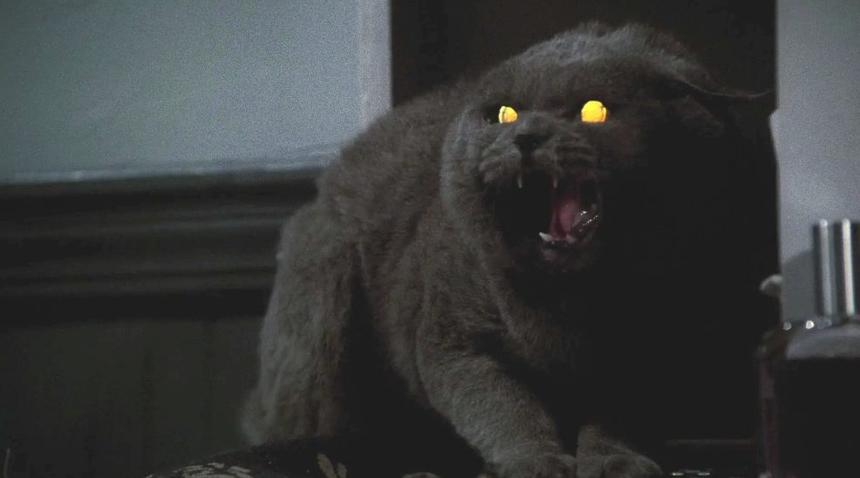 Кадр из фильма «Кладбище домашних животных»