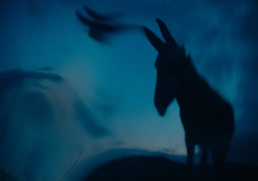 Фильм «Иа», 2022